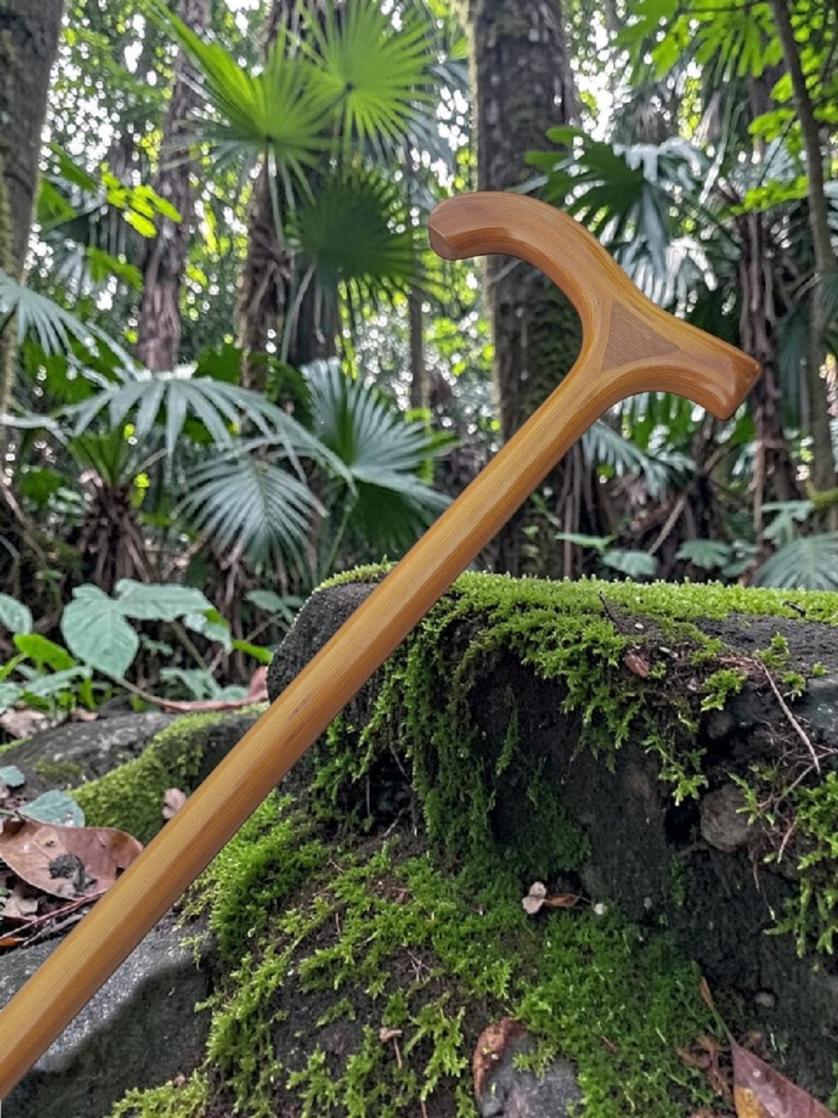 Smoothi Brown Walking Stick ( T Shape)