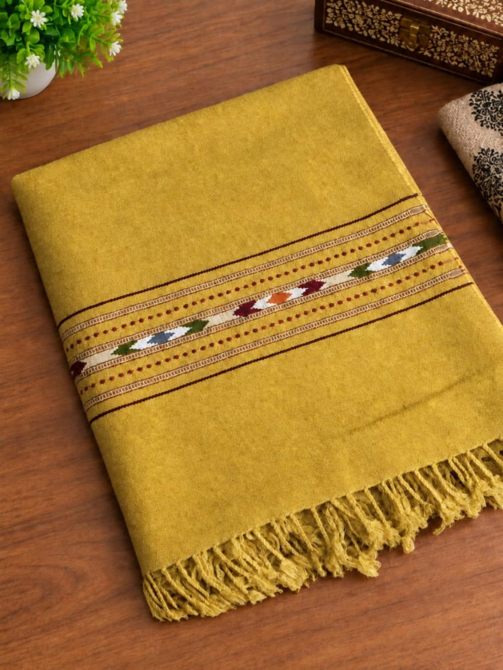 SAFA Special Kashmiri camel