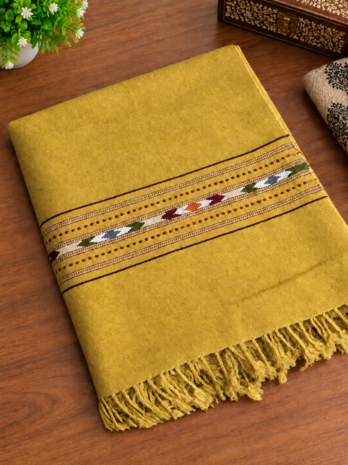 SAFA Special Kashmiri camel