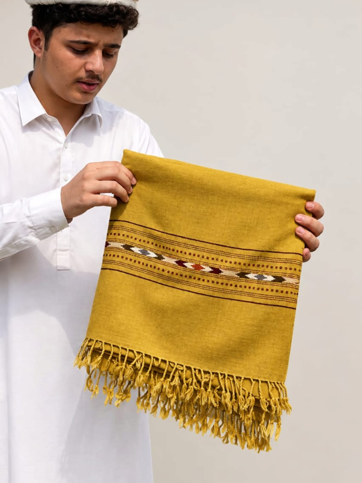 SAFA Special Kashmiri camel